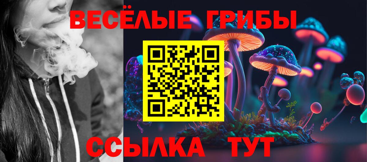 Кулебаки  Псилоцибиновые грибы мухоморы  Вход с VPN  Галлюциногенные грибы MAGIC MUSHROOMS 